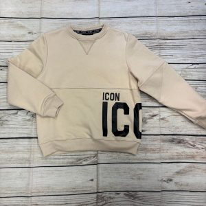 IBSW00740 – felpa icon – ICON