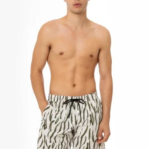 Boxer mare - 4Giveness - FGBM4006