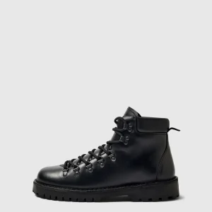 Anfibi - Selected - 16094740 Alfred